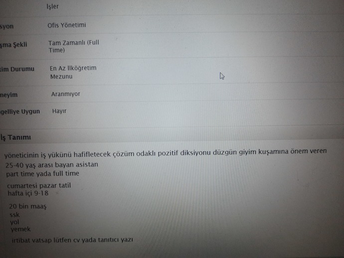 Başvuru yapsam mi sizce?