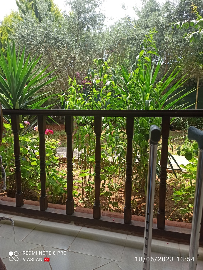Pazar kahvaltısı dışarıda mı, evde mi daha keyifli?