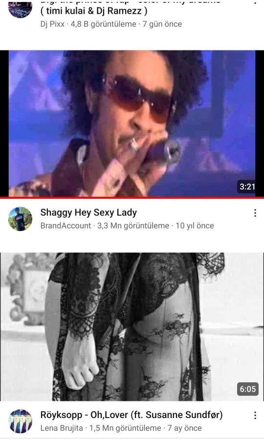 Hangi tür müzik seviyorsunuz?