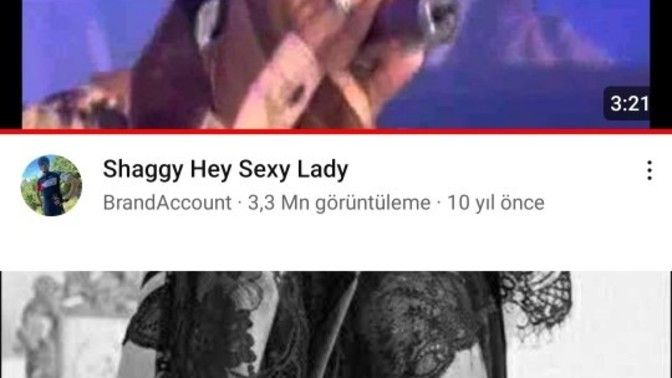 Hangi tür müzik seviyorsunuz?