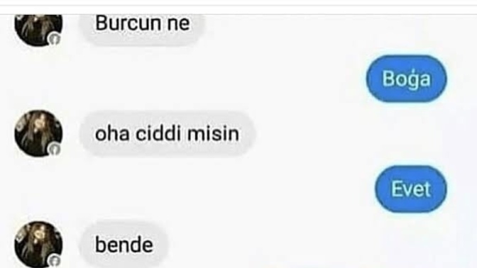 Hangi burçlarla uyumlu olduğunu düşünüyorsun?