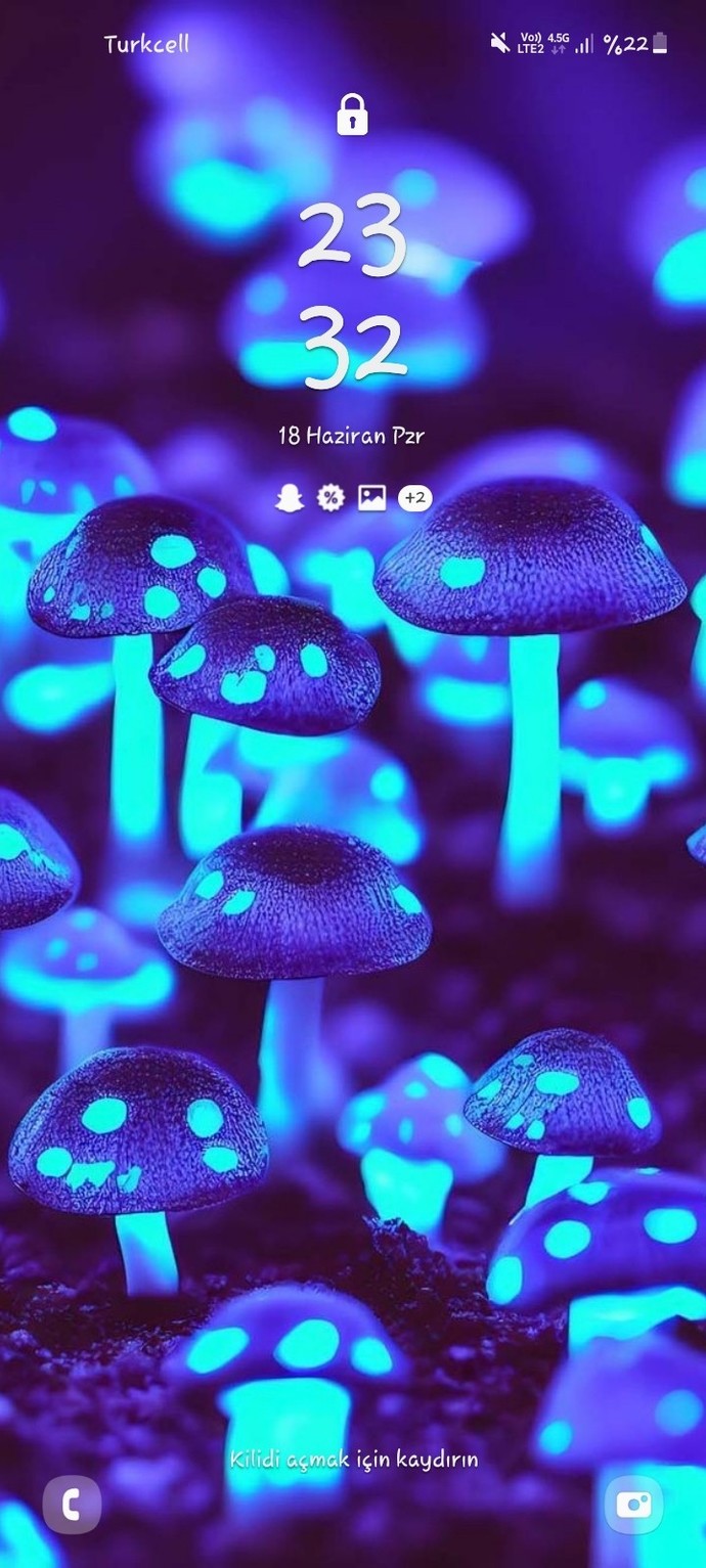 Telefon duvar kağıdınız ne?