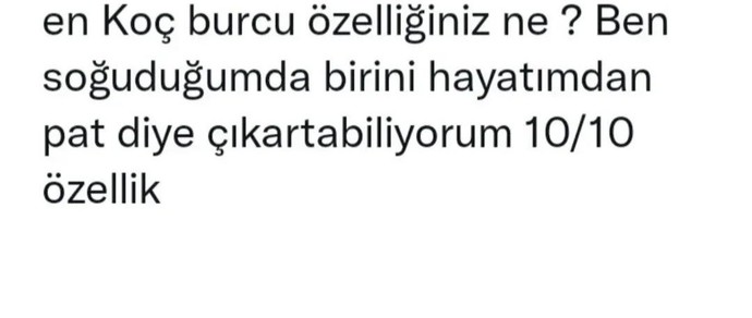 Senin en koç burcu özelliğin ne? Burcunuzun mu, yükseleninizin mi etkisindesiniz?