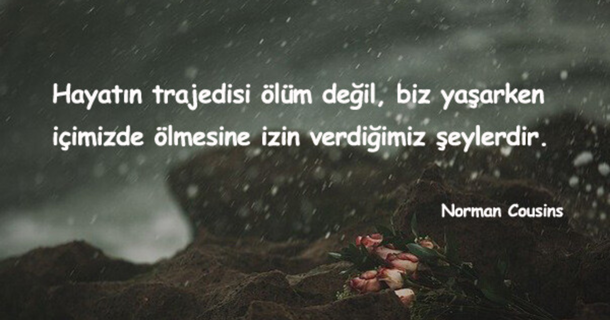 Olmek. Парень на кладбище. Ve ölüm. Заставка на рабочий стол мертвое дерево. Ölum h.