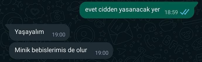 Flörtüm ne demek istemiş olabilir?