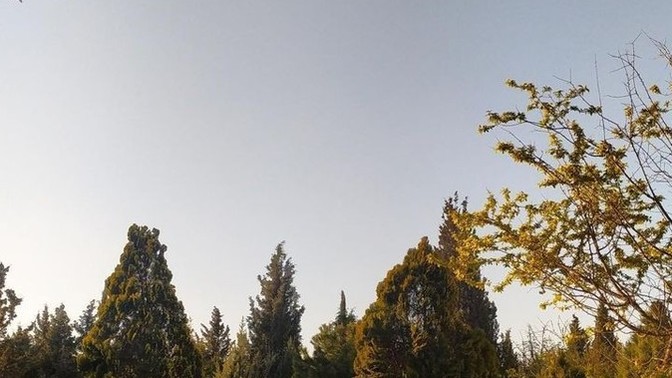 Vefat eden yakınlarınızı özlüyor musunuz?