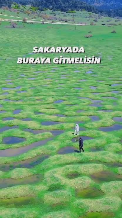 Seni hangi yolculuk aydınlatır?