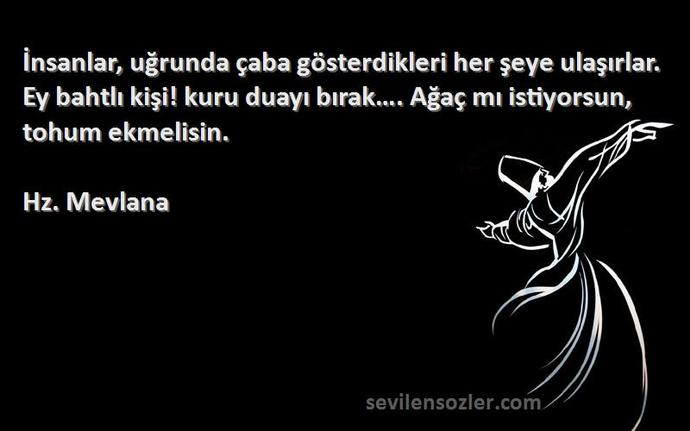 Emeklerinizin çabanızın karşılığını aldığınızı düşünüyor musunuz?