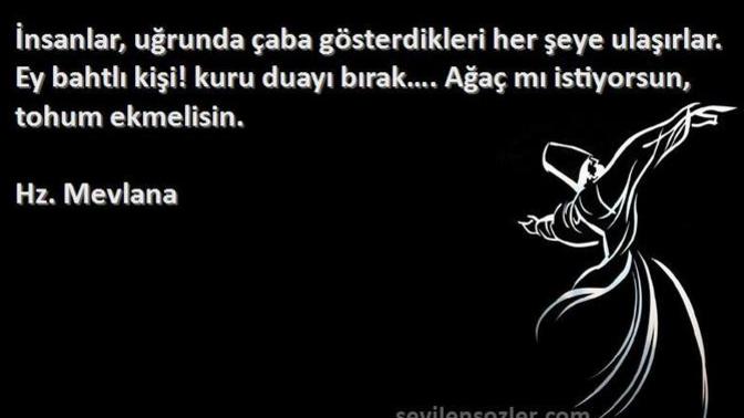 Emeklerinizin çabanızın karşılığını aldığınızı düşünüyor musunuz?