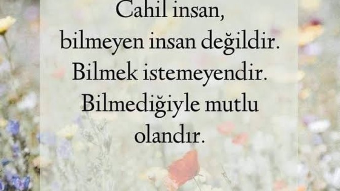 Cahil insan nasıl belli olur?