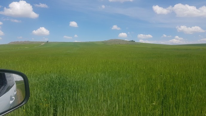 Çektiğiniz son fotoğrafı paylaşır mısınız?