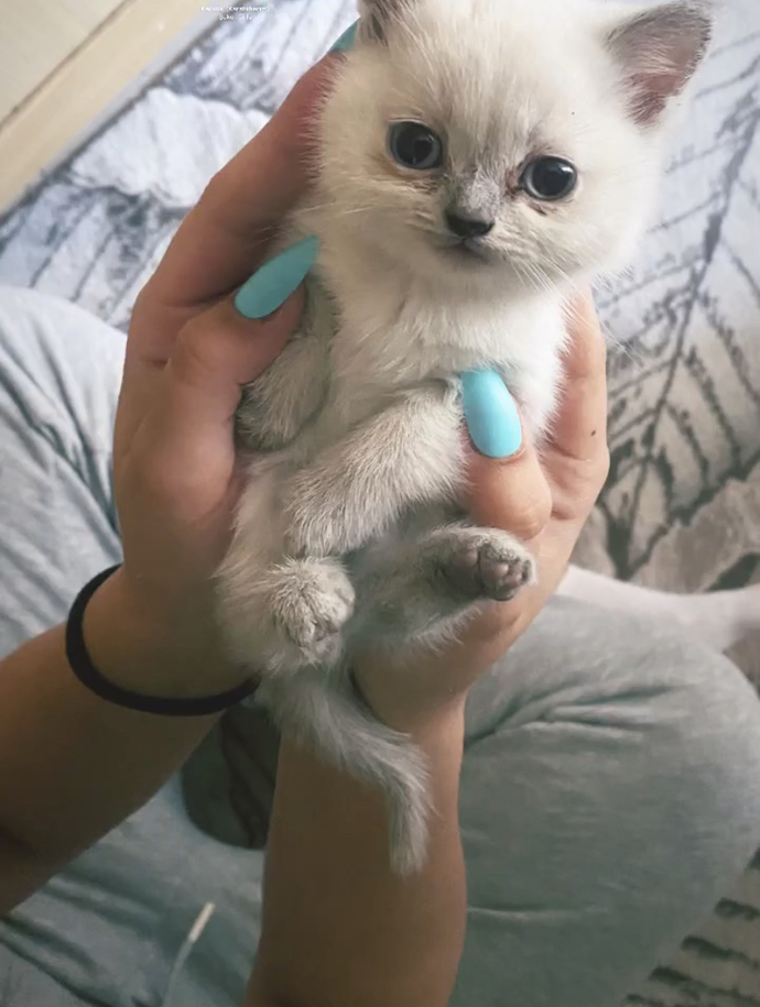 Eve geldiğimde böyle bir şeyle karşılaştım, yemeli miyim? 🥰