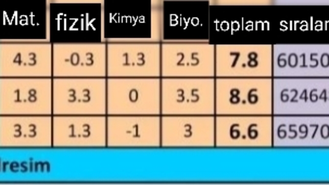 Istanbuldaki vakıf üniversitelerinde hemşirelik bölümünde ayt 8 net ile nasıl 600k sıralama geliyor?