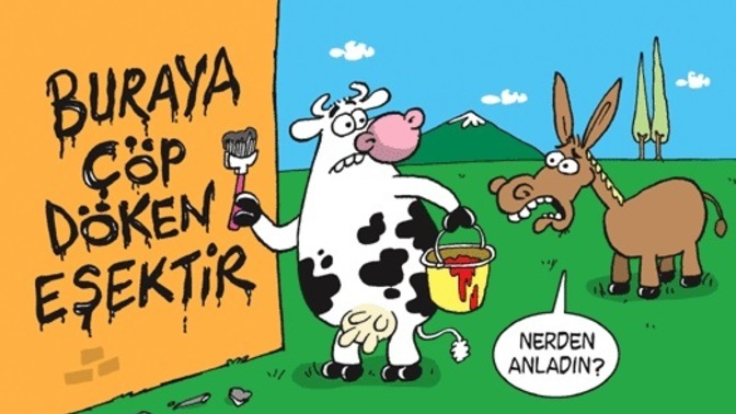 Yere çöp atmama konusunda ne kadar titiz davranıyorsunuz?