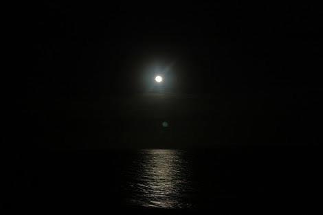 Gece denize girebilir misiniz?