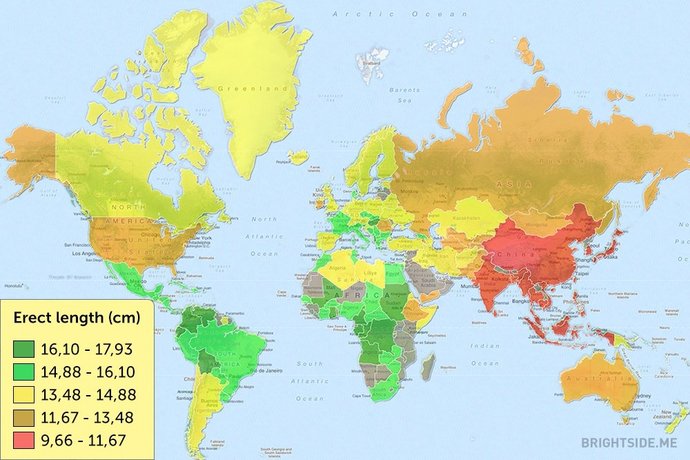 Türk erkeklerin penis uzunluğu ortalama kaçtır?