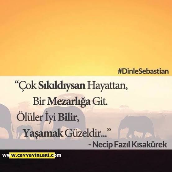 Ölünce mezar taşınıza ne yazılmasını istersiniz?