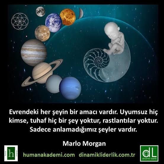 Dikkat ettiniz mi, evrende her şeyin bir amacı var. Amaçsız hiç bir şey yok?
