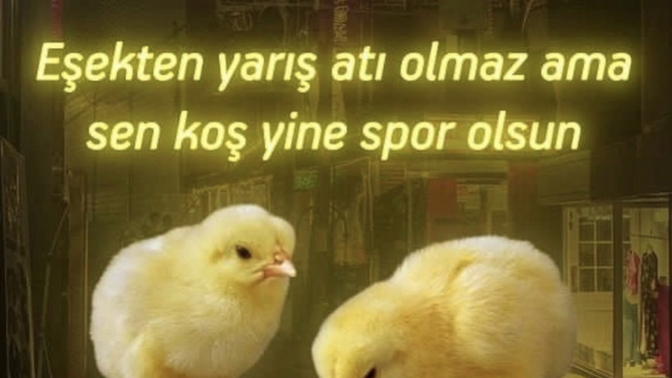 Laf sokarken bile asaletli olabiliyor musunuz?