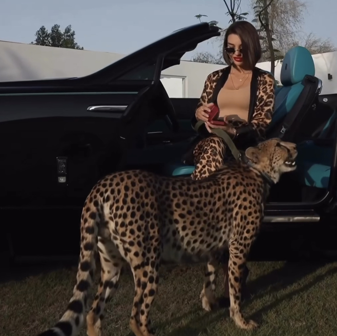 Erkekler kapatılsın, Leopar sahiplenelim sjs