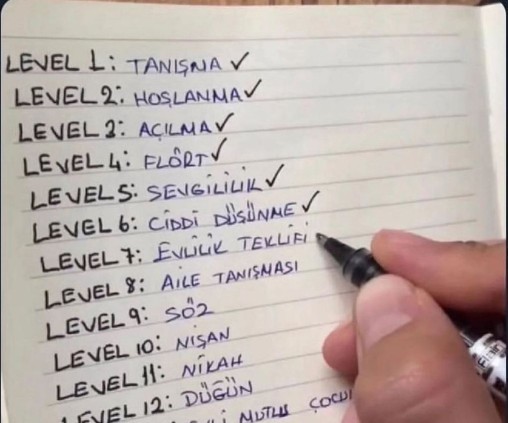 Siz en fazla hangi levele ulaştınız?