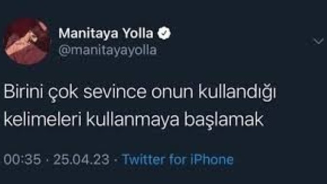 Siz sevdiginizde ne yapıyorsunuz?