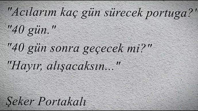 40 gün sonra alışacaksın.