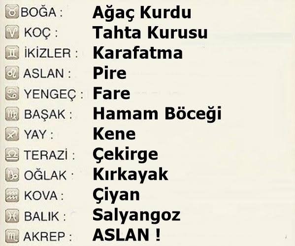 Senin Hangisi Acaba?