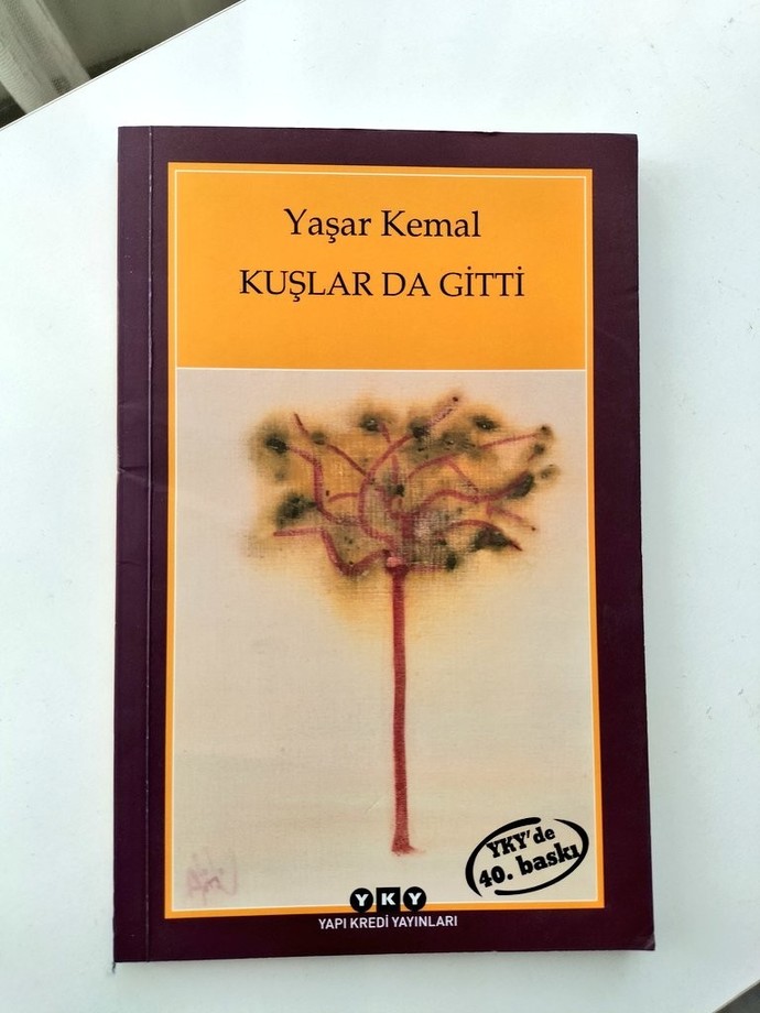 Kitap okuma sıklığınız nedir?