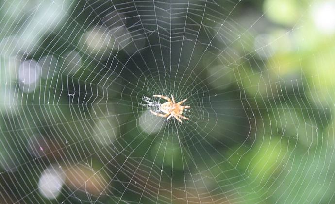 5 yıldır seks yapmadığım için ağlamalı mıyım?