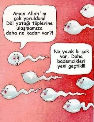 Oral seksle hamile kalınır mı?