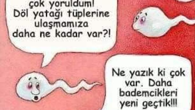 Oral seksle hamile kalınır mı?