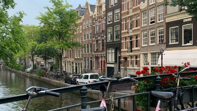 Alışamamaktan korkuyorum, Hollanda'ya taşınmalı mıyım?