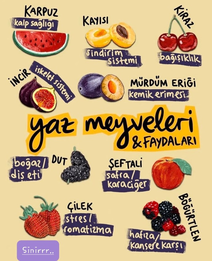😍Her gün yesem yinede bıkmam dediğin meyve hangisi🤔😋?