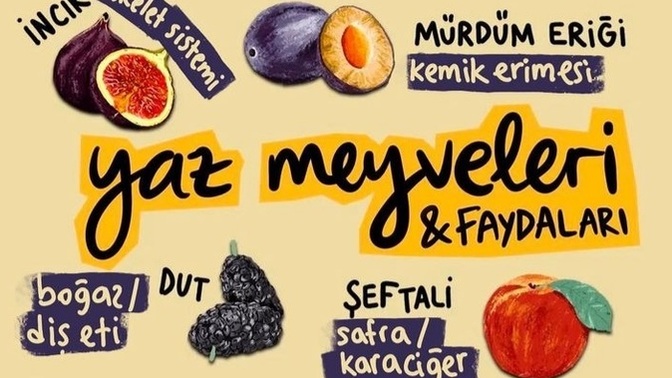 😍Her gün yesem yinede bıkmam dediğin meyve hangisi🤔😋?