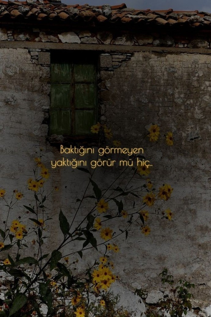 Bir söz olsaydınız bu hangisi olurdu?