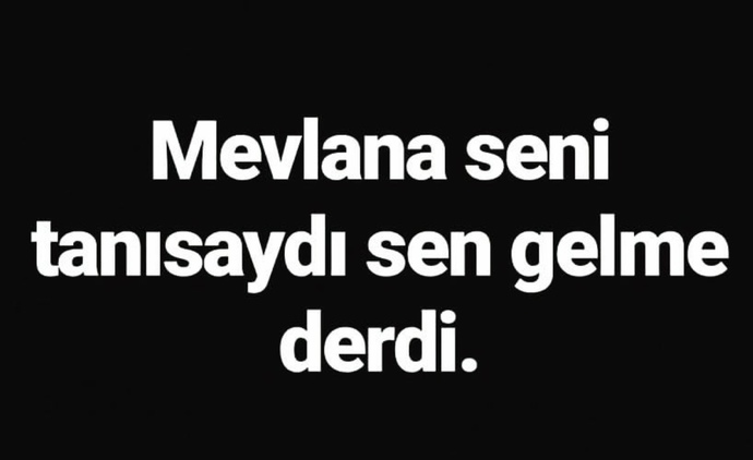 Mevlana seni tanısa ne derdi?