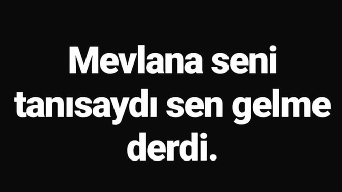 Mevlana seni tanısa ne derdi?