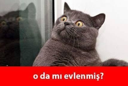 Düğünlere gitmemek için bahaneniz nedir?