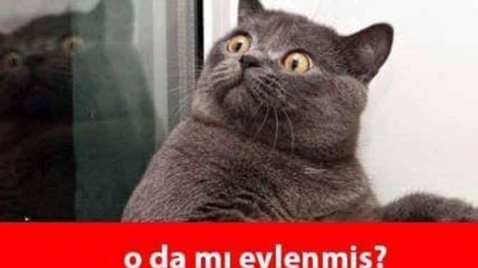 Düğünlere gitmemek için bahaneniz nedir?
