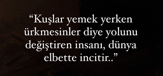Sizi anlatan, en çok etkileyen duygu hangisi?
