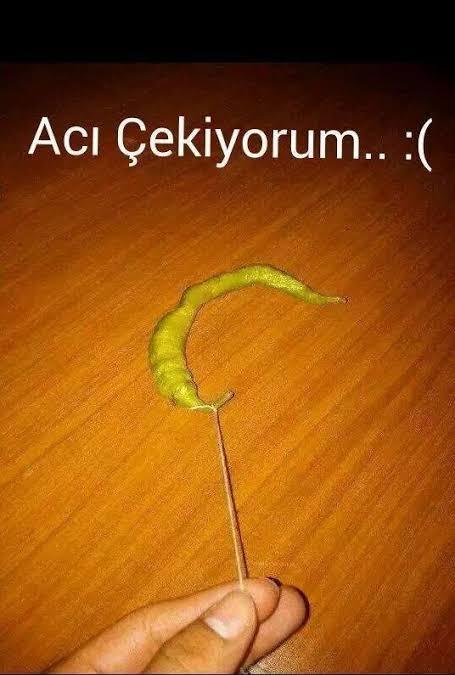 Yalnız olduğum için acı çekiyorum, fikir verir misiniz?