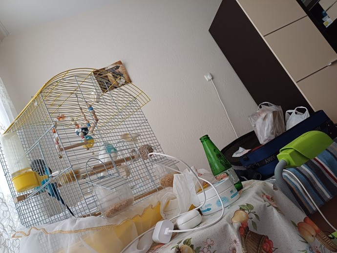 İlk anlık benden, herkes anlık fotoğraf atsın mı?