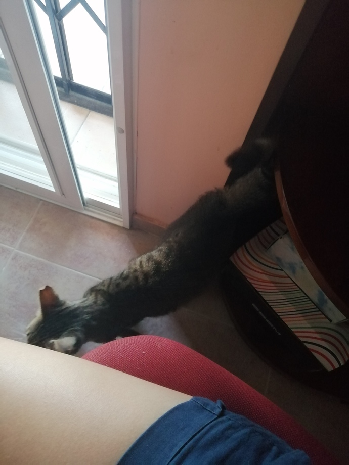 Huzur kaçıran kişilerden nasıl kaçıyorsunuz hele de o kişi ailenden biriyse?