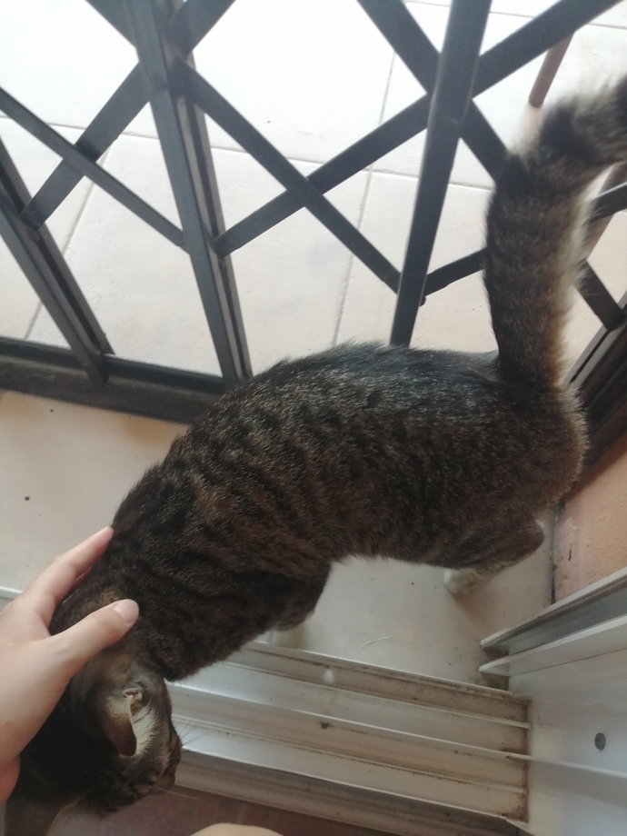 Huzur kaçıran kişilerden nasıl kaçıyorsunuz hele de o kişi ailenden biriyse?