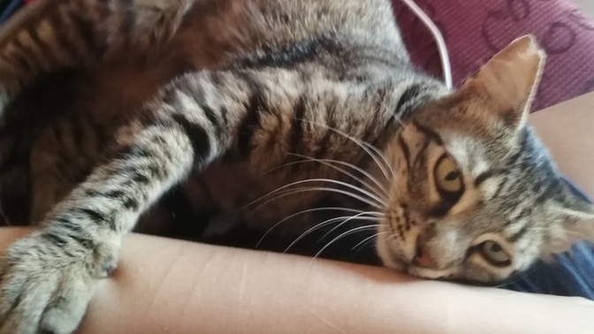 Huzur kaçıran kişilerden nasıl kaçıyorsunuz hele de o kişi ailenden biriyse?