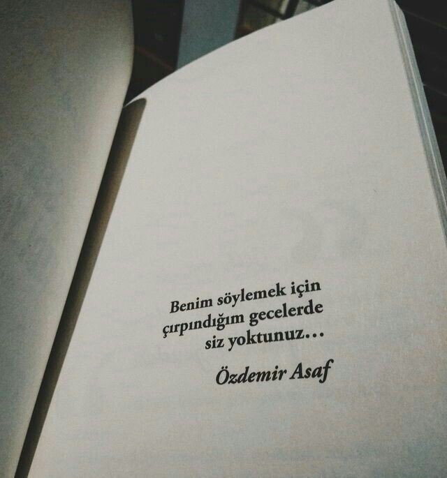 Hangi sanat dalında dünya çapında yeteneğe sahip olmak isterdiniz ?