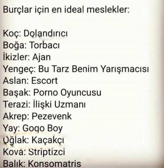 Burcuna göre hangi meslek sana uygun?