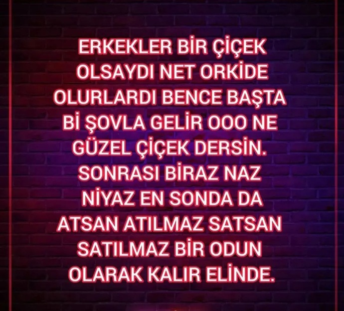 Karşı cins bir çiçek olsa hangisi olurdu?
