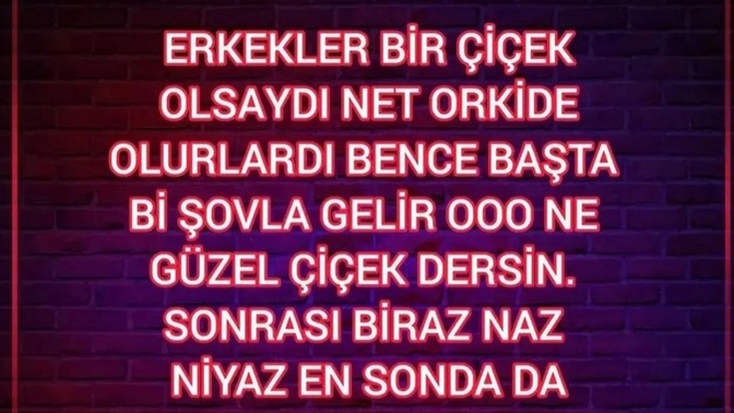 Karşı cins bir çiçek olsa hangisi olurdu?